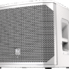 Loa siêu trầm ELX200-12SP