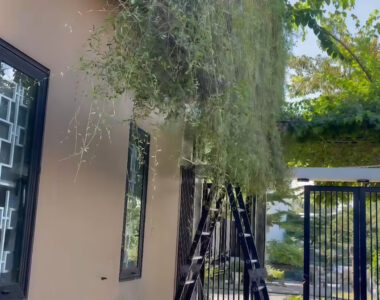 Dự án lắp đặt âm thanh sân vườn tại Ngũ Hành Sơn Đà Nẵng-1