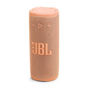 Loa bluetooth JBL Grip review-1