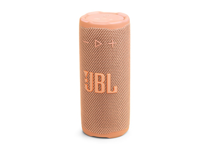 Loa bluetooth JBL Grip review-1