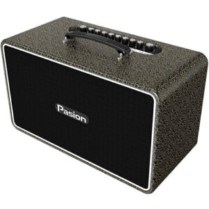 Loa karaoke Paramax Pasion Arte review-1