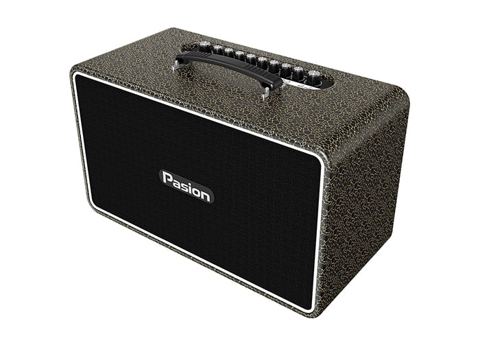 Loa karaoke Paramax Pasion Arte review-1