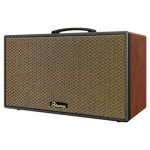 Loa karaoke xách tay Paramax Aura review-1