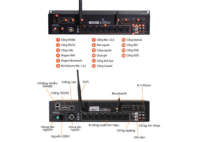 Vang số AAP CK 9900 Plus review-3 Vang số AAP CK 9900 Plus review-3