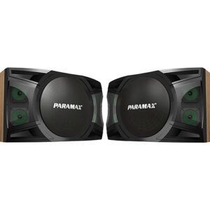 Loa karaoke Paramax P-2500 review-1