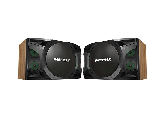 Loa karaoke Paramax P-2500 review-1