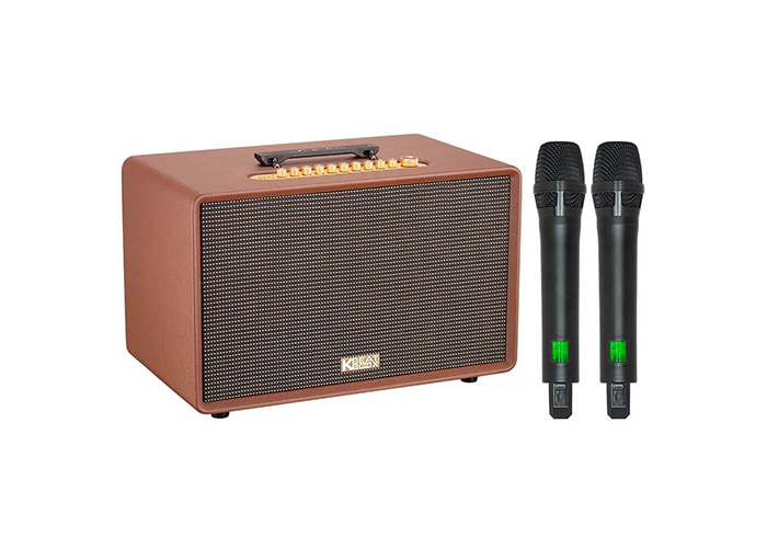 Loa karaoke xách tay Acnos Flac 39 review-1