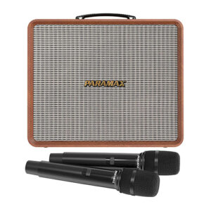 Loa karaoke xách tay Paramax Nice review-1