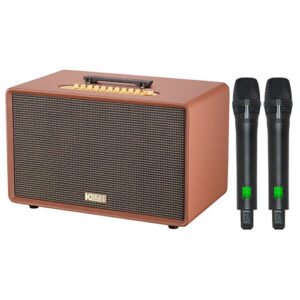 Loa karaoke xách tay Acnos Flac 36 Ultimate review-1