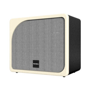 Loa karaoke xách tay Paramax Evox Max review-1